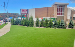 Nfl Store Nyc Synthetic Grass Flooring Installed By ATC